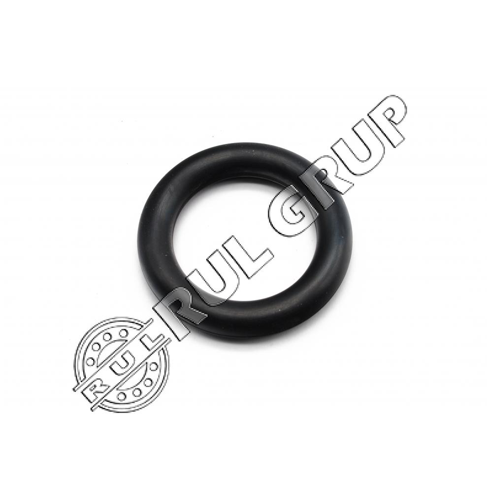 O-RING 244054 CL